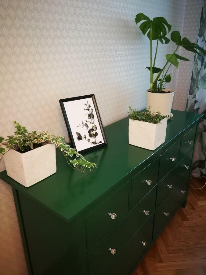 Lemon Tree Apartment Вроцлав Екстер'єр фото